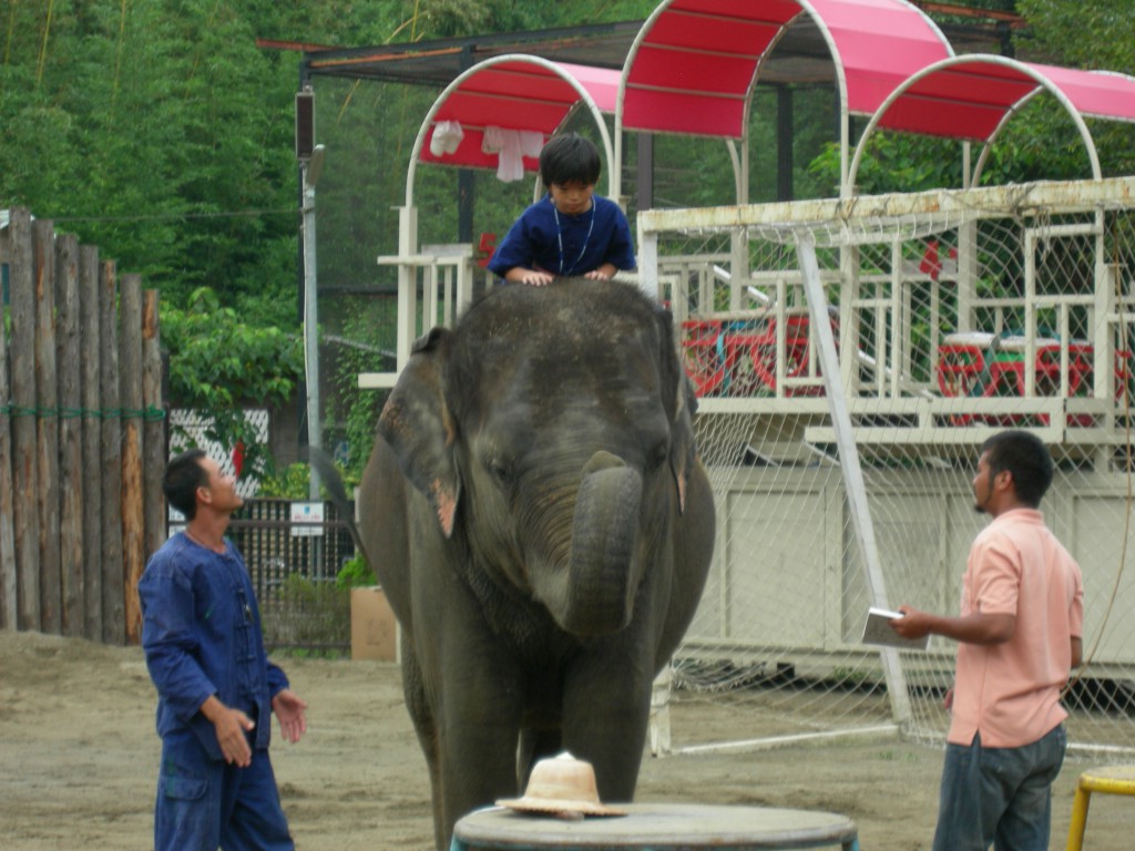 象使い体験10歳